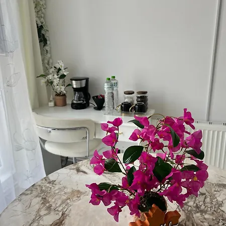 Apartment Factory 22 Brasov