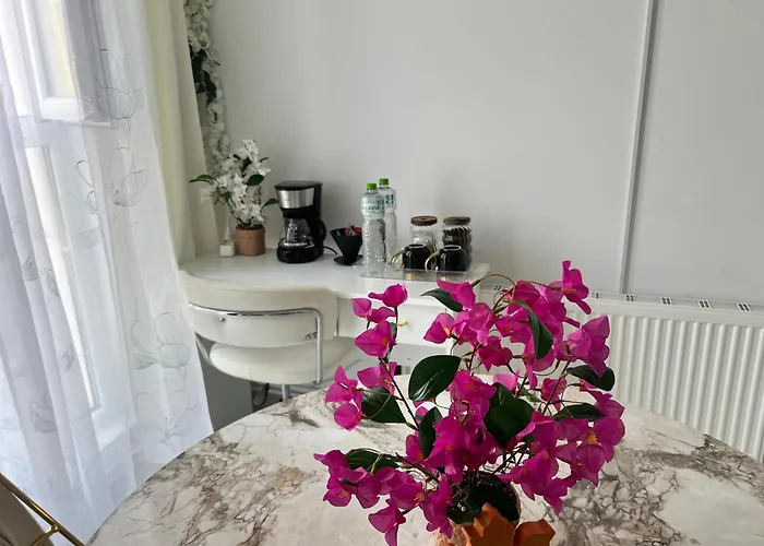 Apartment Factory 22 Brasov